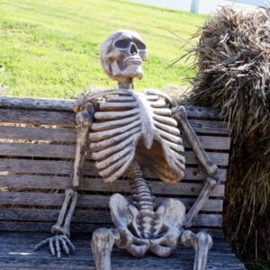 Waiting Skeleton